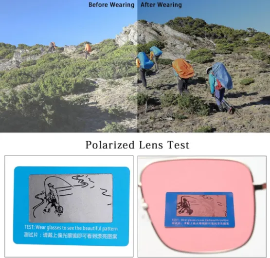 81rVBDW5arL._AC_SL1500_