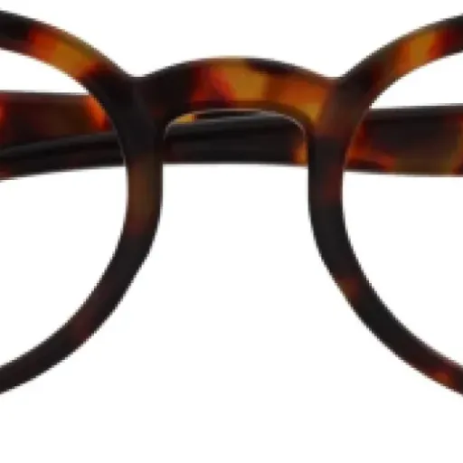 Test OCA Lunettes de Lecture : des lunettes abordables qui font le job