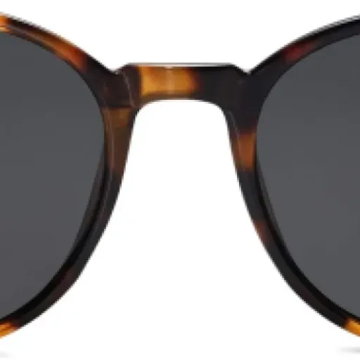 Test SOJOS Lunettes de soleil polarisées : le style vintage qui protège