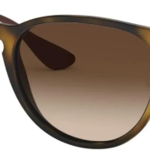 Test Ray-Ban RB4171 : les lunettes de soleil passe-partout qui font le job sans prise de tête